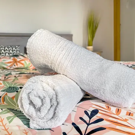 L'eden Carolo - Netflix, Wi-fi, 10min Aeroport, Parking Gratuit