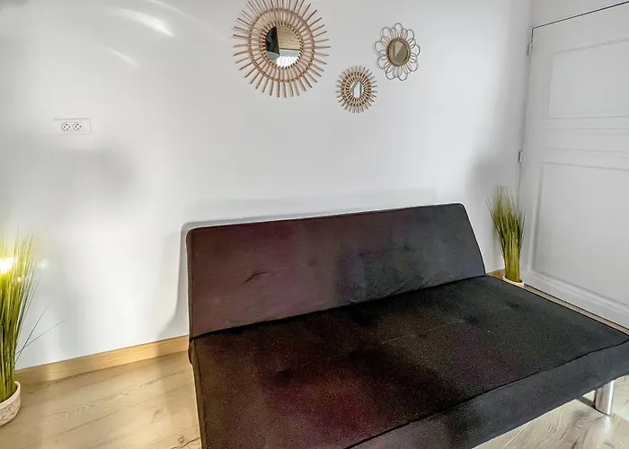 L'eden Carolo - Netflix, Wi-fi, 10min Aéroport, Parking Gratuit Appartement *