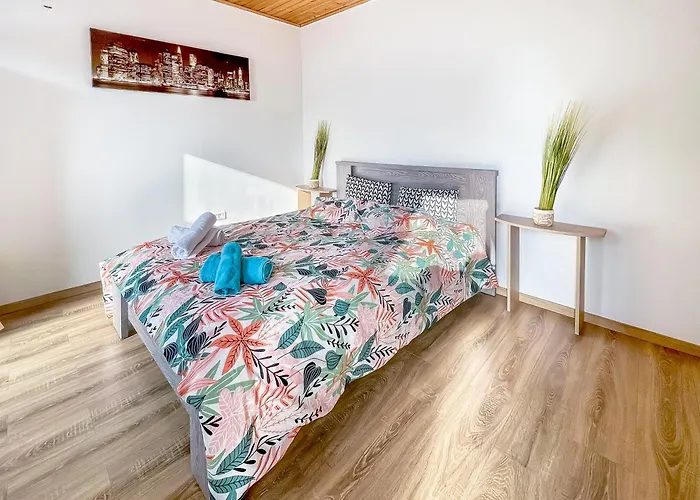 Appartement L'eden Carolo - Netflix, Wi-fi, 10min Aéroport, Parking Gratuit