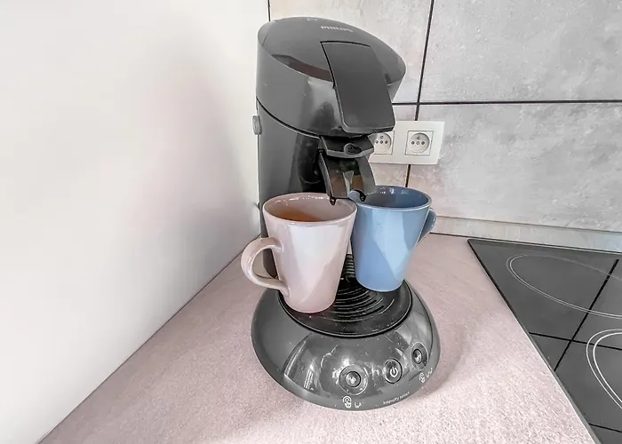 Appartement L'eden Carolo - Netflix, Wi-fi, 10min Aéroport, Parking Gratuit *